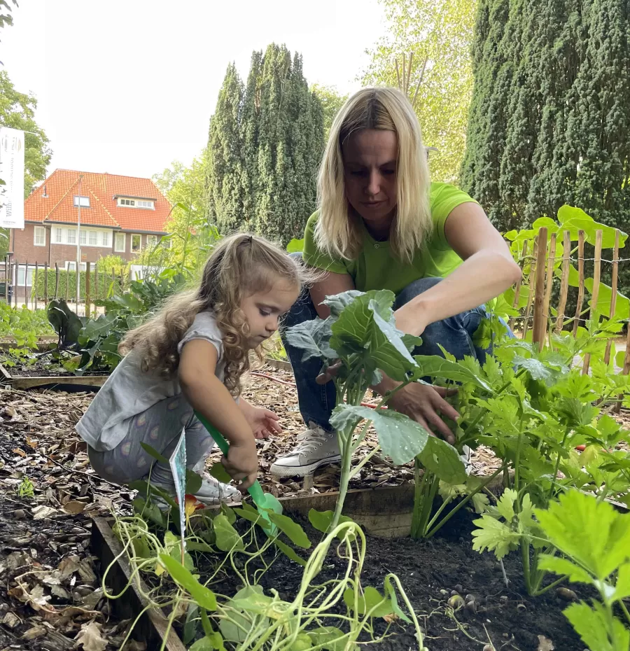 Vrijwilliger Kinderopvang