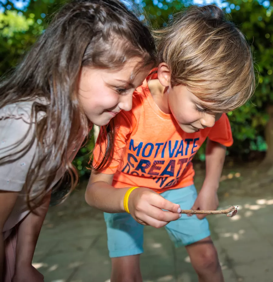 pedagogisch professional