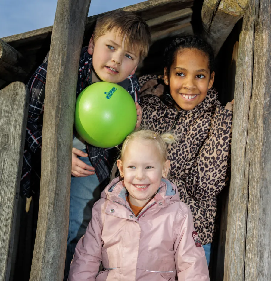 pedagogisch professional